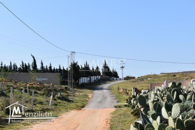 AV un terrain  à Hammamet sud (el monchar)