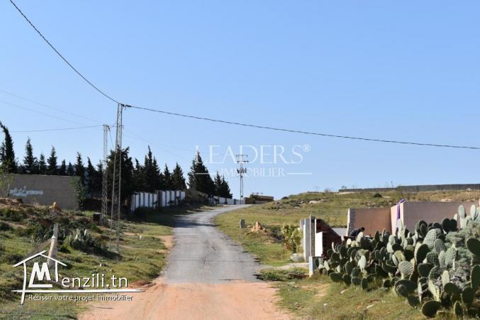 AV un terrain  à Hammamet sud (el monchar)