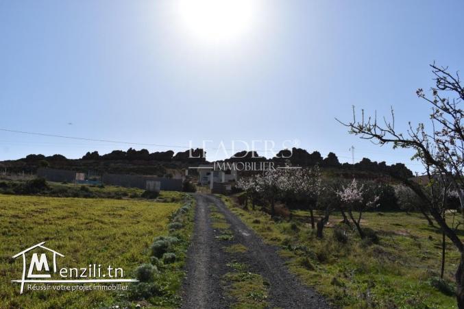 AV un terrain  à Hammamet sud (el monchar)