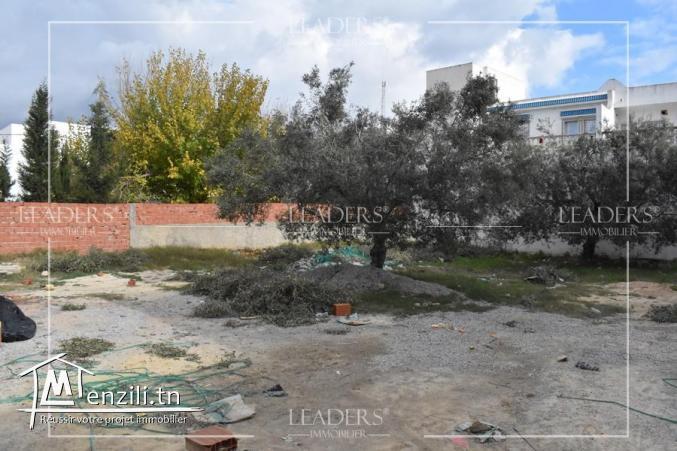 AV un terrain à baraket sahel Hammamet en face Aziza.