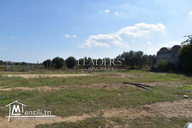 AV un terrain a Hammamet sud el monchar
