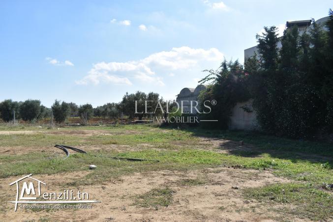 AV un terrain a Hammamet sud el monchar