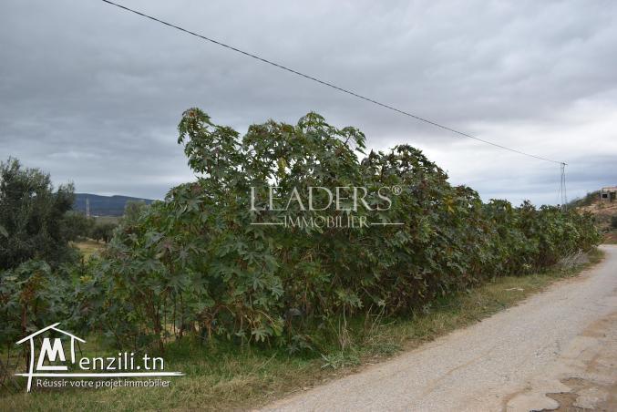 AV un terrain El monchar Hammamet
