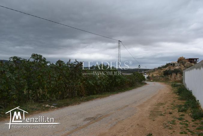 AV un terrain El monchar Hammamet
