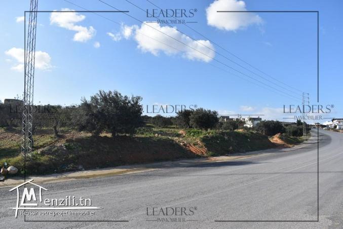 AV un terrain terrain situé à sidi Hamed Hammamet