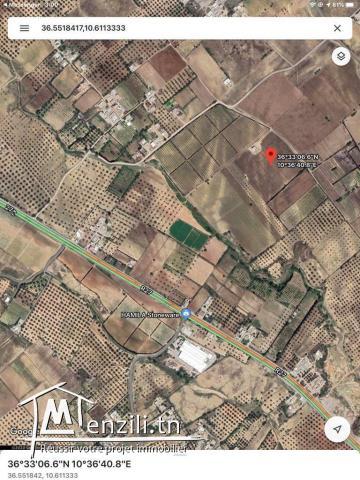 un grand terrain agricole plus de 3,5 hect