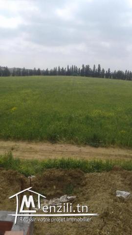 un grand terrain agricole plus de 3,5 hect