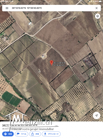 un grand terrain agricole plus de 3,5 hect