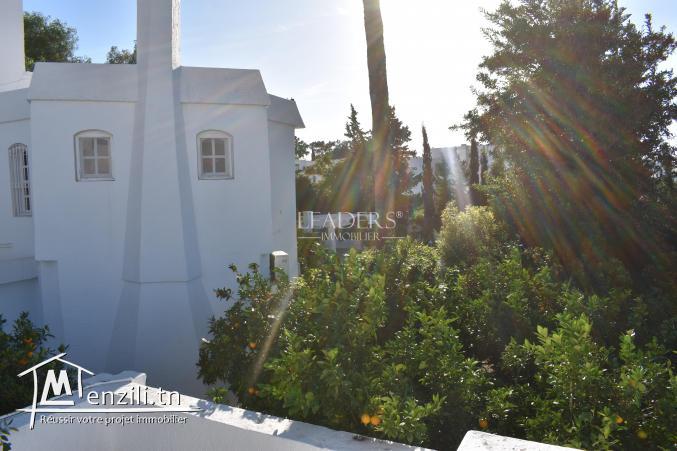 AV un terrain Hammamet zone théâtre prés café la palma