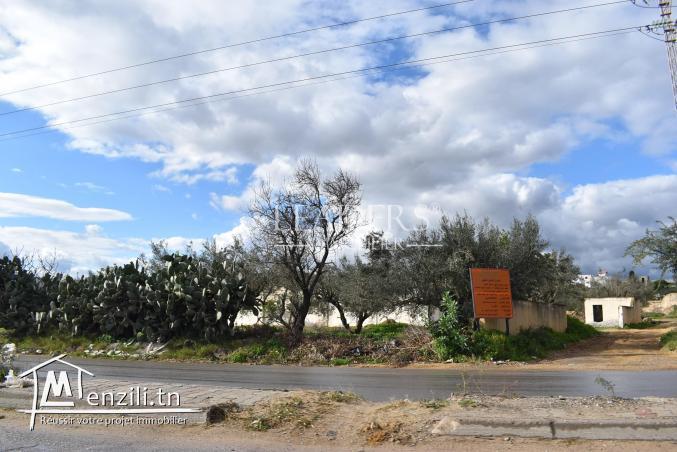 Terrain a vendre de 160 m2