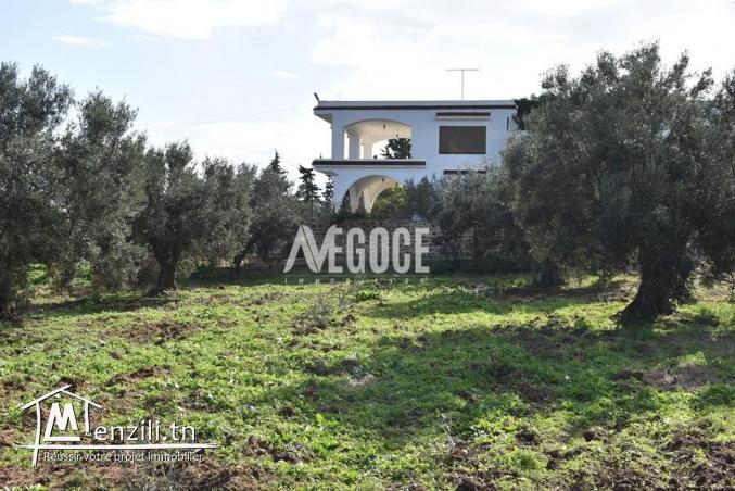 un superbe terrain situé à Monchar