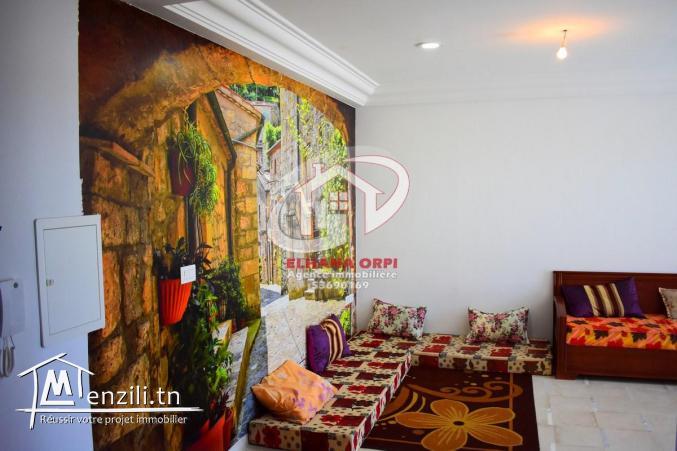 louer appartement s+1 pied dans l'eau et vue sur mer baghdedi