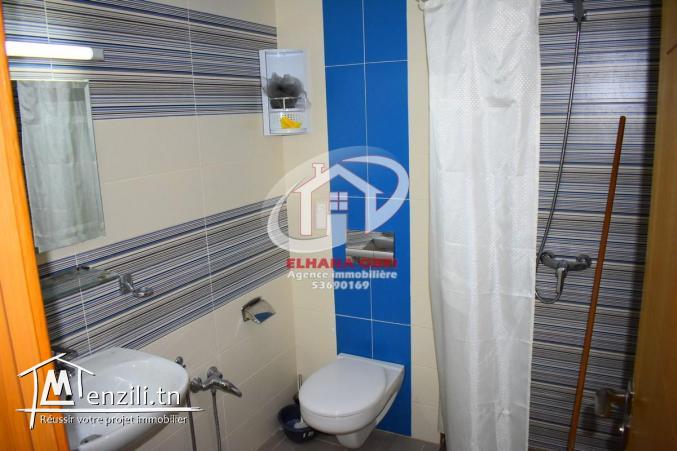 louer appartement s+1 pied dans l'eau et vue sur mer baghdedi