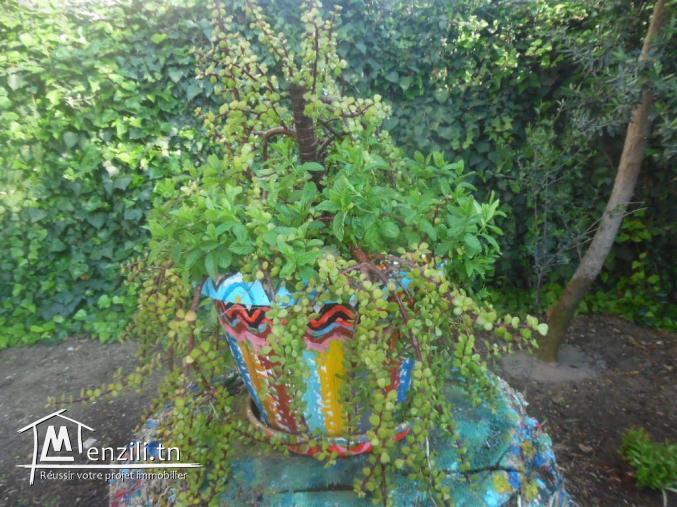 villa A Vendre de 466 m2