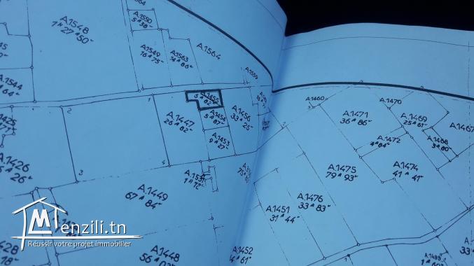 Route ceinture afh mrazga