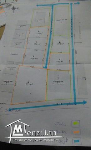 À vendre à chotrana sidi salah. Lots de terrain: Passerelle de 1050 m / 400 dt