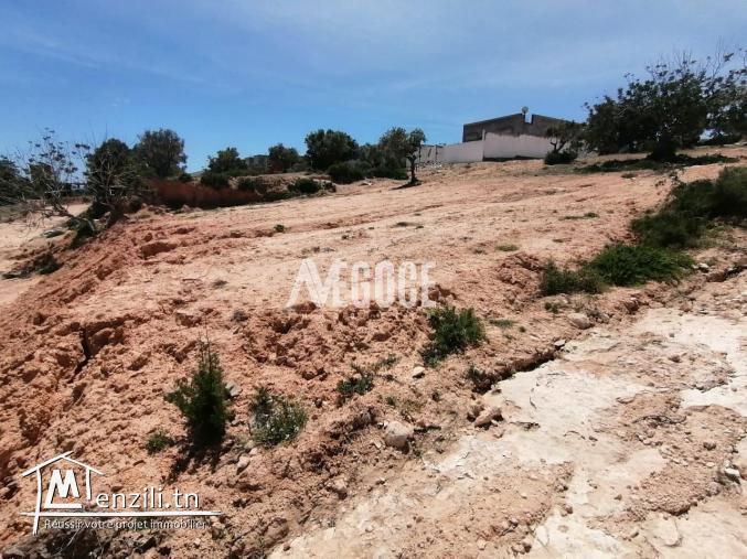 un terrain situé à cité romaine