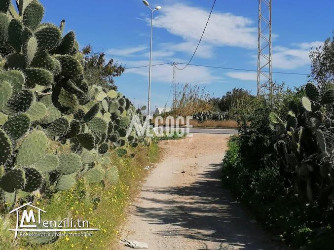 un terrain au ceinture Nabeul Hammamet