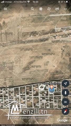 Terrain à vendre à Raoued de 212 m2