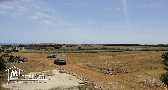 فرصه لا تعوض