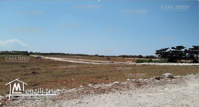 فرصه لا تعوض