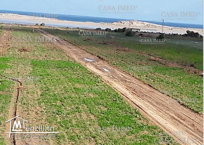 terrain a dar alouch Réalisez votre rève