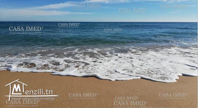 terrain a hawaria prés de mer