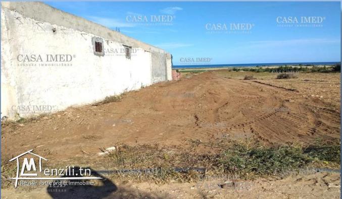 terrain a hawaria prés de mer