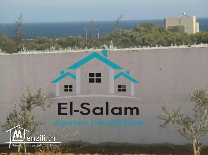 maison 1000m2 vu de mer