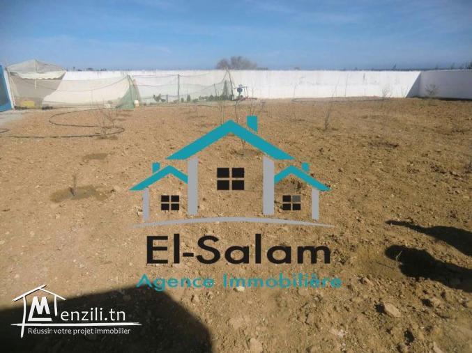 maison 1000m2 vu de mer