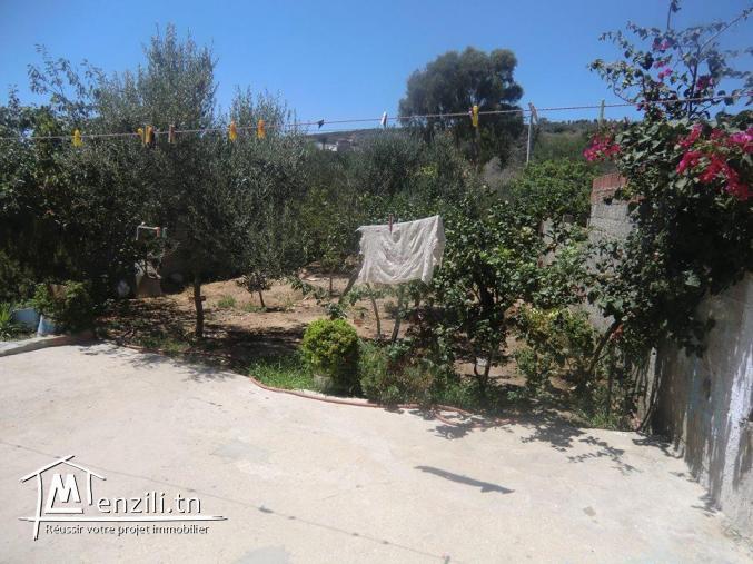 maison avec garage et jardin titre bleu