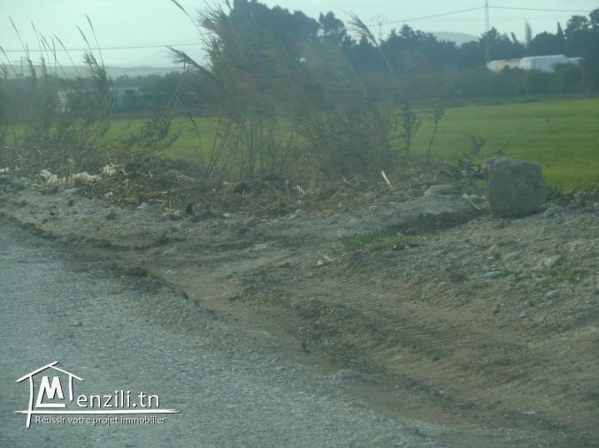 8000m2 a selement 128000dt sur la route goudronné