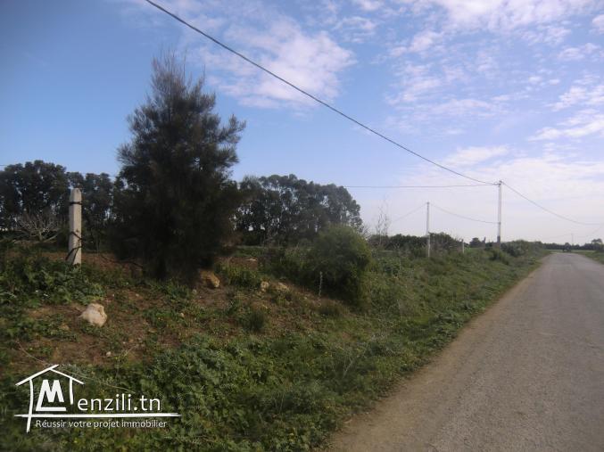 3000m2 sur la route goudronné avec un petit maison et un puit