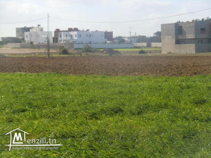 lottisement dar allouch distance a la plage