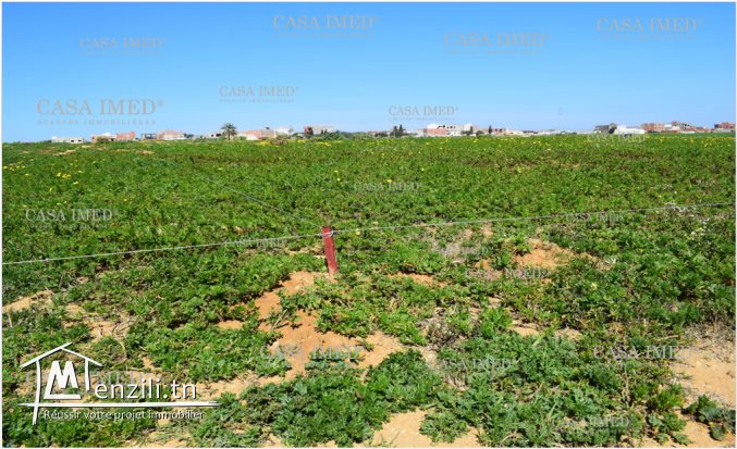 كلمنا على 29232582