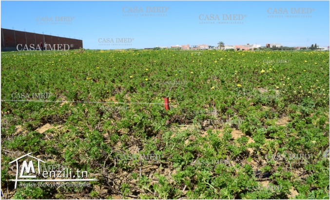 كلمنا على 29232582