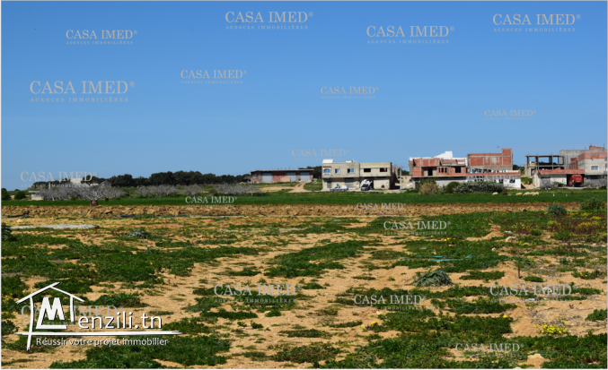 كلمنا على 29232582