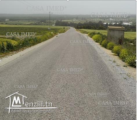 حاجة ولا حتى فالبال