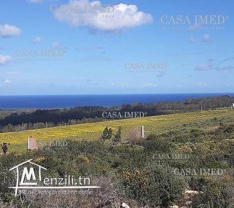 حاجة ولا حتى فالبال