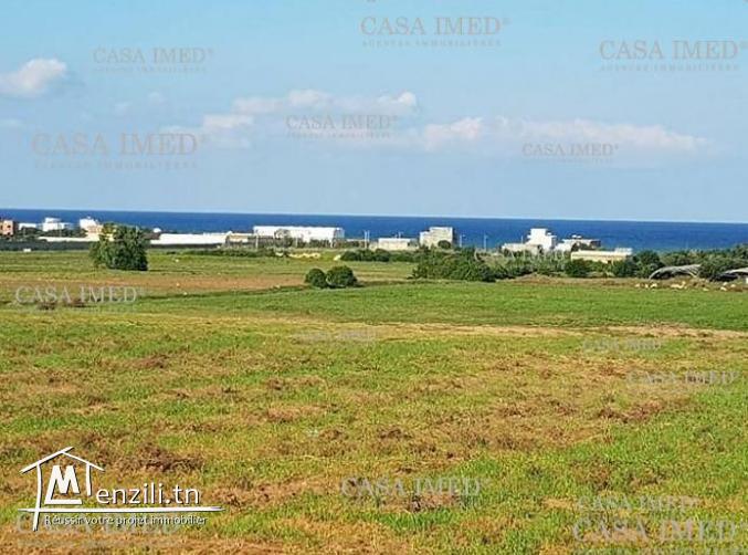 une occasion spéciale chez casa imed kélibia