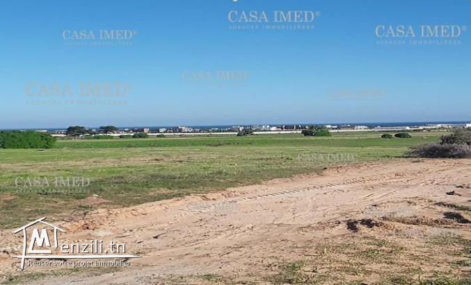 une occasion spéciale chez casa imed kélibia