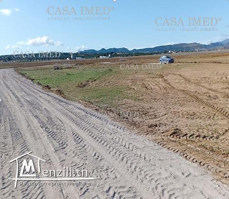 ماعليك كان تكلم مرشدتك العقارية  29.232.582