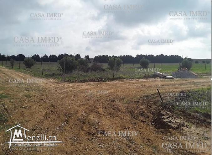 terrain offre spécial