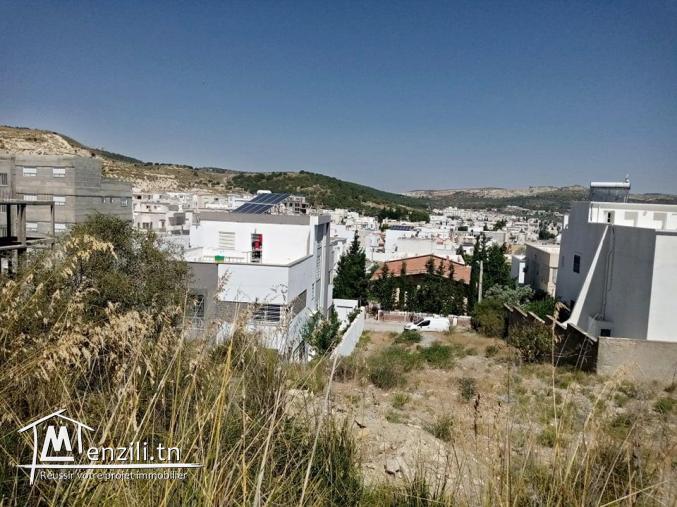 TERRAIN A VENDRE A RIADH LANDALOUS ARIANA
