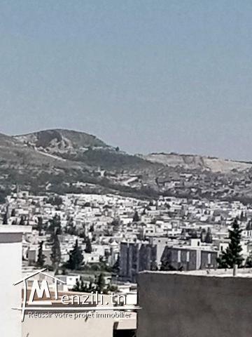 TERRAIN A VENDRE A RIADH LANDALOUS ARIANA