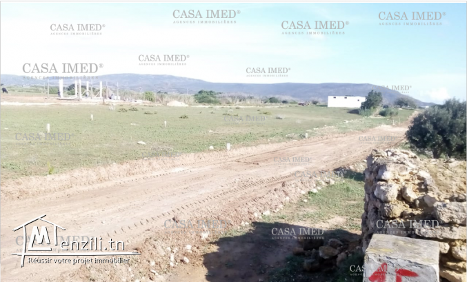 أرض في لهاورية