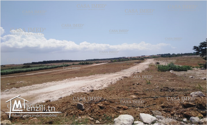 أرض في لهاورية