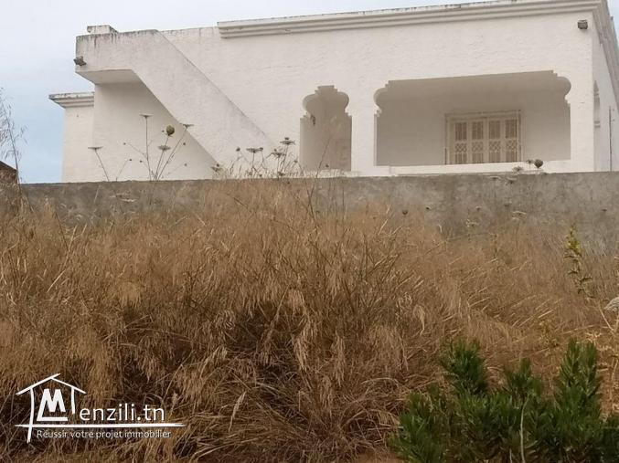 Des terrains divises a cite ghazala Ariana