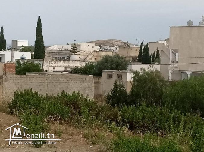 Des terrains divises a cite ghazala Ariana