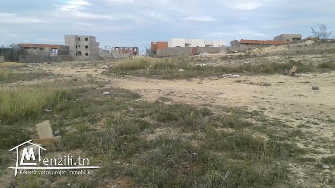 Avendre terrain titré 273m2